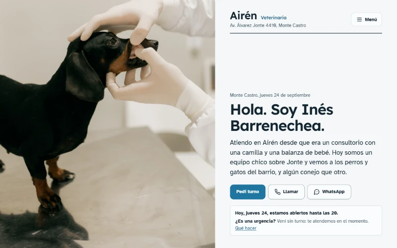 The Veterinaria Airén page, as it looks when you open it